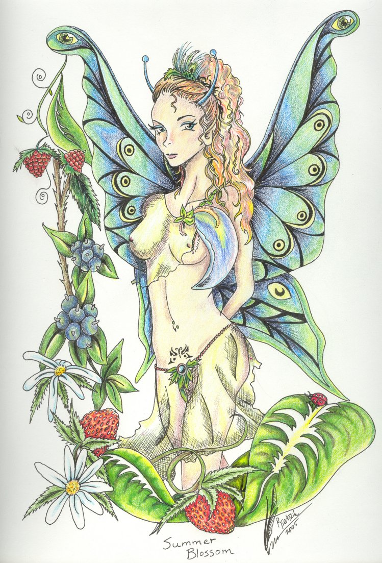 Summer Blossom--fairy study in colored pencil and ink